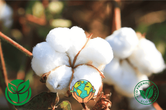 Why Eco-Friendly Clothing Matters: A Guide to Sustainable Fashion